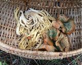 Foto del paso 3 de la receta: Conserva de changle