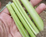 Foto langkah ke 1 dari resep Sayur asem bening, pakai mangga muda.