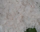 Foto langkah ke 1 dari resep Kue Putu Ayu Pandan.