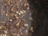Sopa de zapallo italiano (Gajar Shorba)
