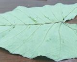A picture of step 1 of Arrow Roots (Nduma)Leaves bhajiya#authors marathon.