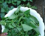 A picture of step 3 of Ugali, Managu(African nightshade) and beef.