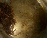 A picture of step 5 of Caramelized onions.