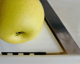 Foto del paso 3 de la receta: Ensalada de patata y manzana