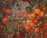 Foto del paso 1 de la receta: Compota de frutos rojos casera
