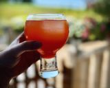 Foto del paso 2 de la receta: Cóctel Aperiña (Aperol y Piña)
