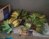 Foto langkah ke 12 dari resep Keripik pisang kepok.
