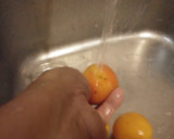 Foto del paso 1 de la receta: Mermelada de Damascos