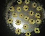 Foto langkah ke 4 dari resep Semprit teflon.