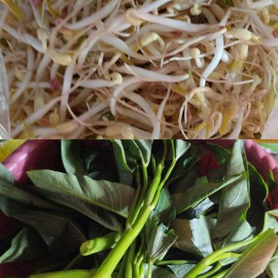 Langkah 2