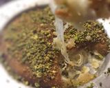 A picture of step 14 of Nabulsi Kunafa.