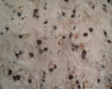 Foto del paso 8 de la receta: Stollen con chocolate (pan dulce alemán)