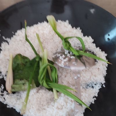 Langkah 1