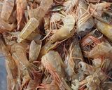 Hình bước làm 1 của món Tôm nõn rim tiêu