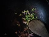 Nasi Besanga Khas Banjarmasin