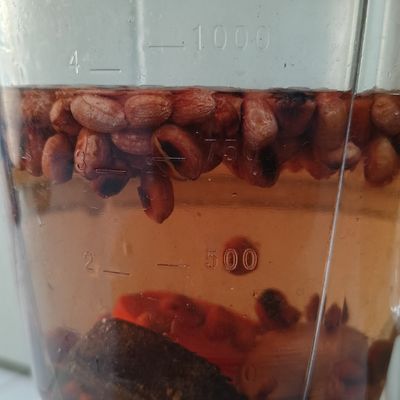 Langkah 2