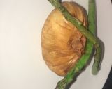 A picture of step 5 of Chicken breast wrapped in filo pastry.