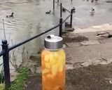 Foto langkah ke 2 dari resep Infused waterKurma + Nanas + Melon.