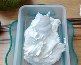ટેન્ડર કોકોનટ આઇસક્રીમ (Tender Coconut Ice Cream Recipe In Gujarati) રેસીપી સ્ટેપ2ફોટો
