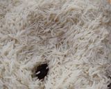 A picture of step 7 of Chicken Biryani 😋😋.