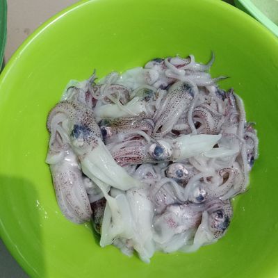 Langkah 2