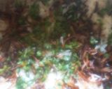 A picture of step 6 of Spicy Soya Biryani.