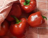 Foto del paso 3 de la receta: Rojo rojo: Pimientos en salsa, relleno (pescado) juruel y arroz