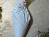 كريمة الجوزية