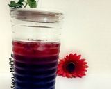 عکس مرحله 5 از دستور نوشیدنی شاتوت و عرق بیدمشک 🍷