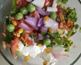 A picture of step 4 of Mayo Veg Papad Bowl.