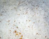 A picture of step 8 of Tangy Mutton Biryani.