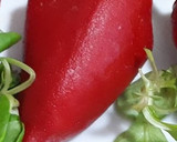 Foto del paso 6 de la receta: Pimientos del piquillo rellenos de ensaladilla -sin mahonesa-