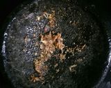 Foto langkah ke 3 dari resep Nugget Tempe.