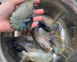 รูปขั้นตอนการทำที่ 1 ของ กุ้งเผาเด็กหอ