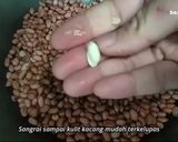 Foto langkah ke 1 dari resep RESEP KACANG OVALTINE / KACANG KUK / BENG BENG KACANG.