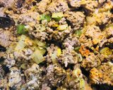 A picture of step 4 of Turkey 🦃 Enchilada Pie 🥧.