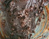 Foto del paso 5 de la receta: Galletas doble chocolate - sin gluten, sin huevo, sin lactosa