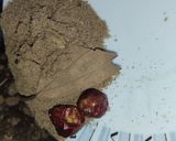 A picture of step 1 of Beef Pulao.