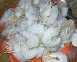 Foto langkah ke 3 dari resep Balado Udang 🍤🍤🍤.
