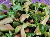 Ensalada de canónigos con aguacate, queso fresco y mermelada de naranja