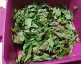 Foto del paso 1 de la receta: Albahaca deshidratada