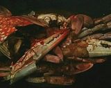 Foto langkah ke 6 dari resep Udang saus tiram pedas.