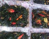 Foto langkah ke 7 dari resep Oseng² Daun pepaya praktis Dan enak.