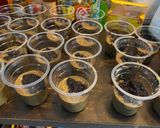 Foto langkah ke 3 dari resep Bubur kacang ijo & ketan hitam.