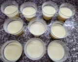 Foto del paso 5 de la receta: Panacota tres sabores