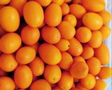 Foto del paso 1 de la receta: Dulce de cuncuas o kinotos