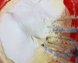 Foto langkah ke 7 dari resep Cake roti tape.