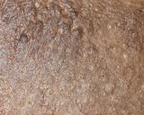 Foto del paso 6 de la receta: 🍫 Brownies de Cacao en Polvo