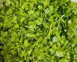 Hình bước làm 1 của món Canh Xà lách xoong mầm nấu thịt bò