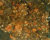 Foto langkah ke 8 dari resep Dendeng sapi balado simple.